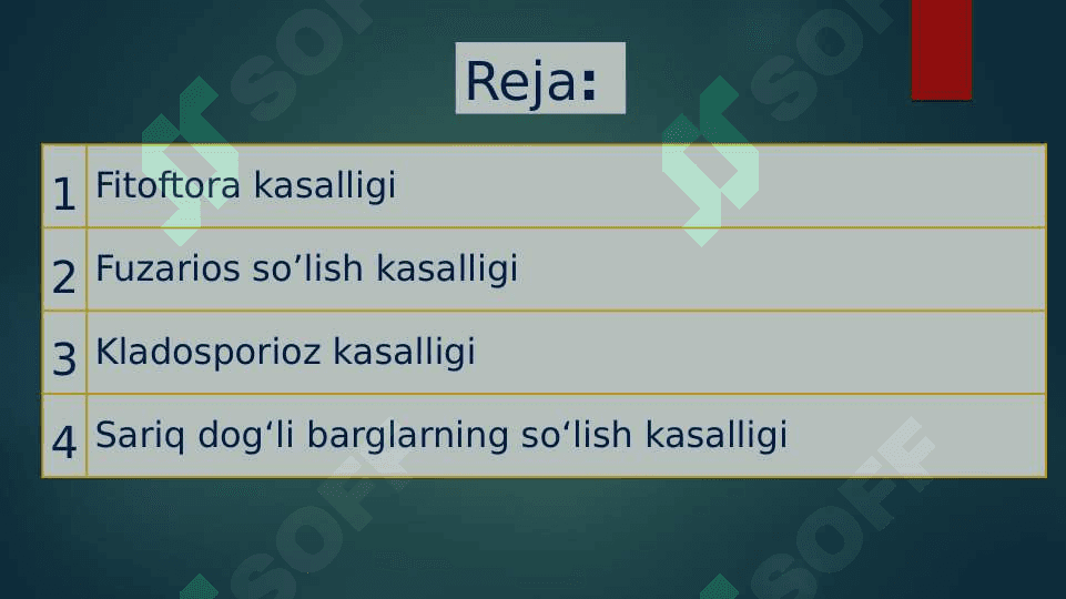 Pomidor kasalliklari 2