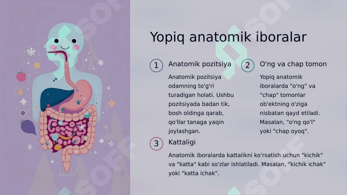 Anatomik iboralarning tarjimasi 5