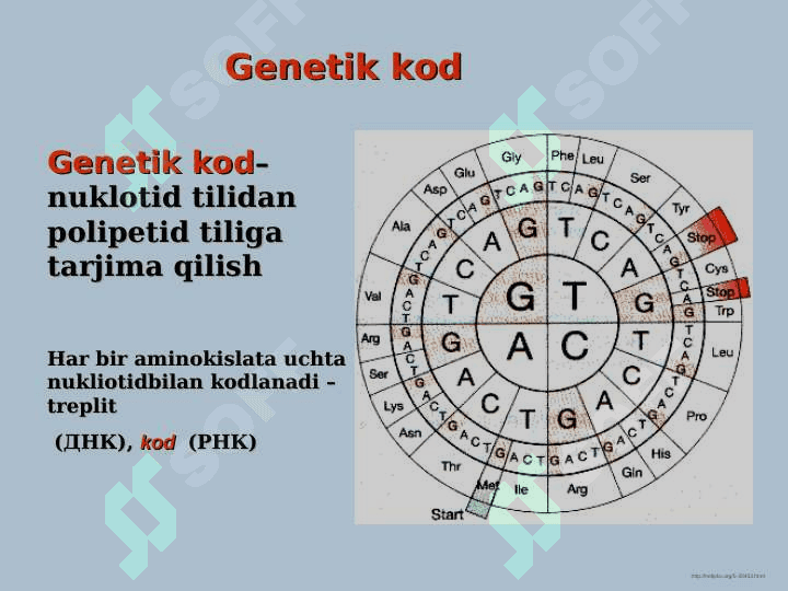 Genetik kod va uning mohiyati 5