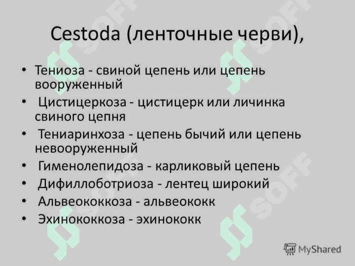 Слайд на тему гельминтов 5