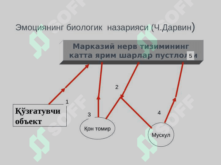 Эмоция назариялари 6