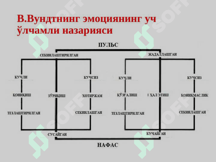 Эмоция назариялари 8