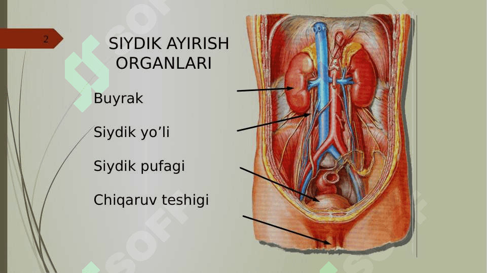 SIYDIK AYIRISH SISTEMASI 2