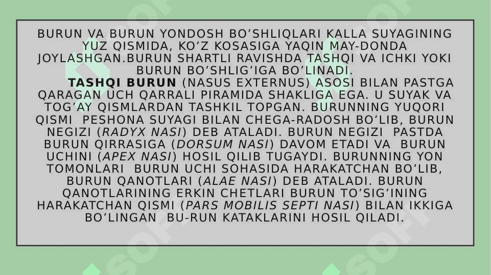 BURUN YON BO`SHLIQLARI 2
