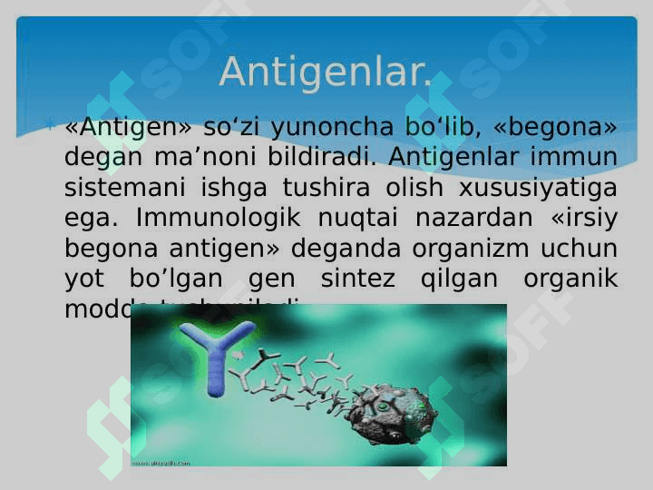 Antigen va antitela 3