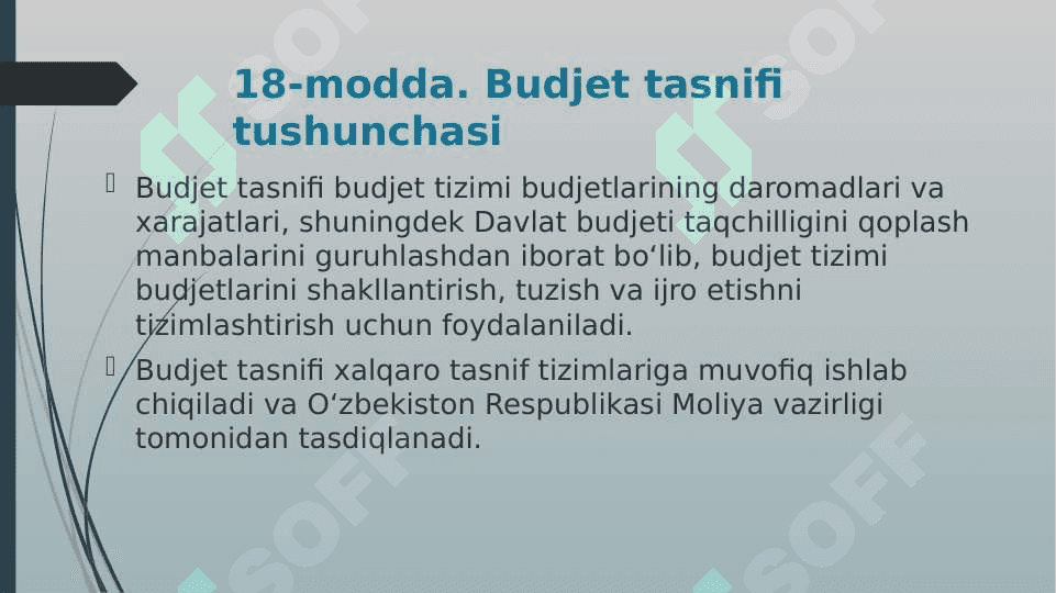 BUDJET TASNIFI 3