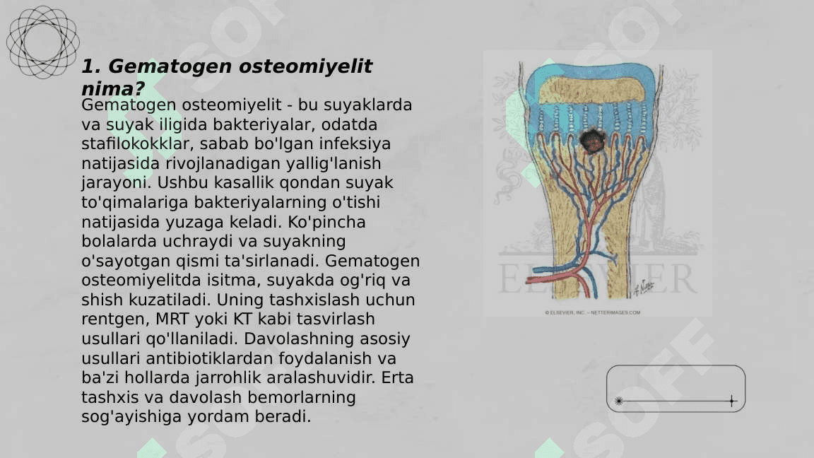 Gematogen osteomielit 3