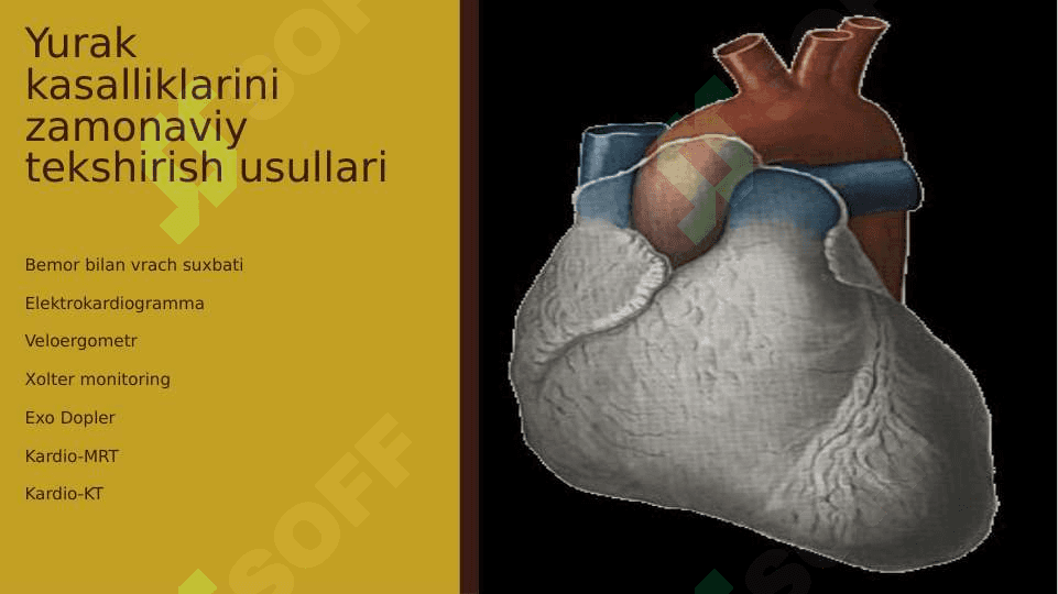 Yurak kasalliklarini zamonaviy tekshirish usullari 2