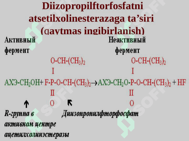 Fermentlar faolligini boshqarilishi 7