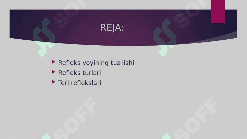 Orqa miyaning reflekslari 2
