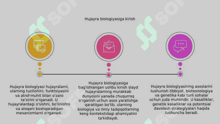 Hujayra biologiyasi 3