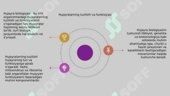 Hujayra biologiyasi 4
