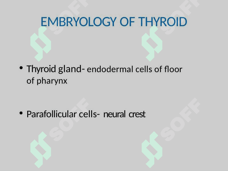 THYROID  MALIGNANCIES 5