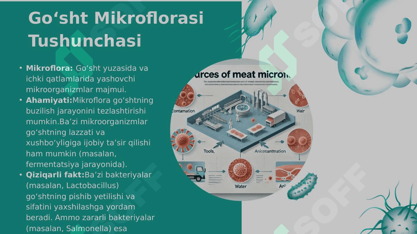 Go‘sht mikroflorasi 3