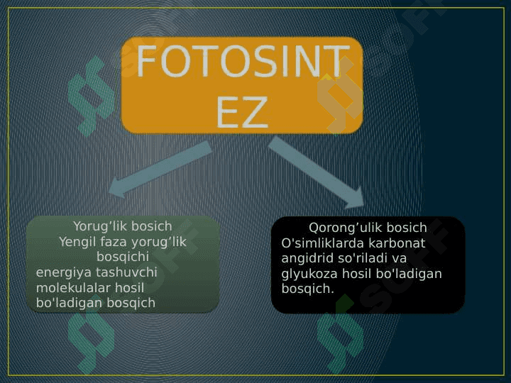 Fotosintezning YORUG’LIK BOSQICHI 4