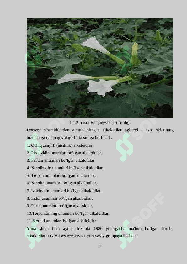 O'simliklardagi alkaloid moddalarni aniqlash 7