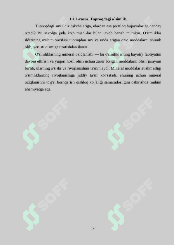 O`simliklarning mineral oziqlanishi 7