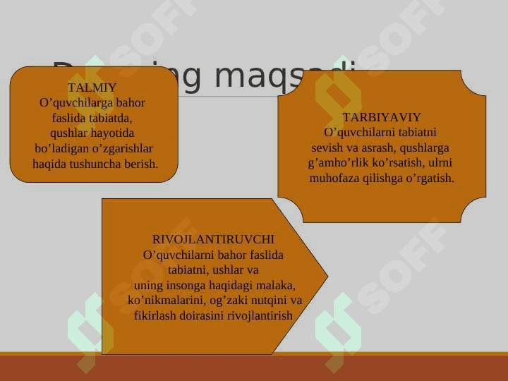 Bahor. Qushlar-bizning do’stimiz 3