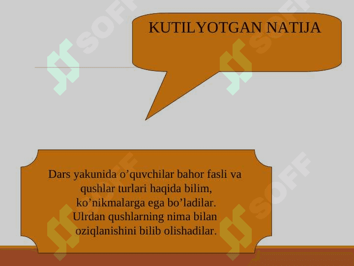 Bahor. Qushlar-bizning do’stimiz 4