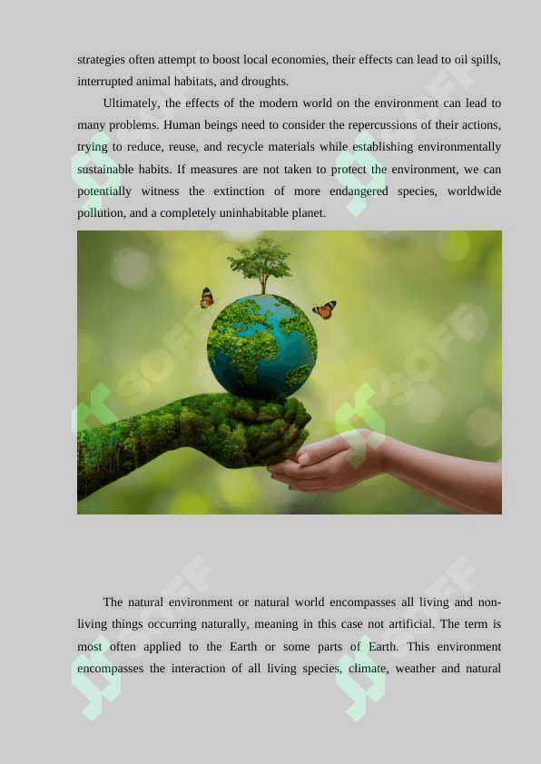 Environment 4