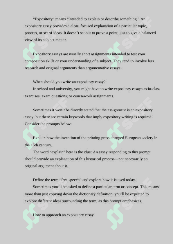 Expository essay 2