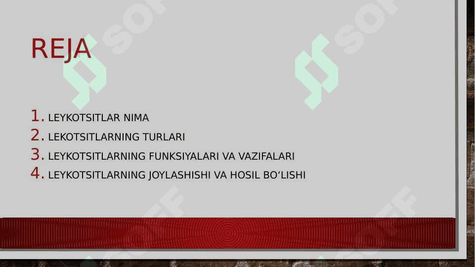Leykotsitlar metabolizmi xususiyatlari 2