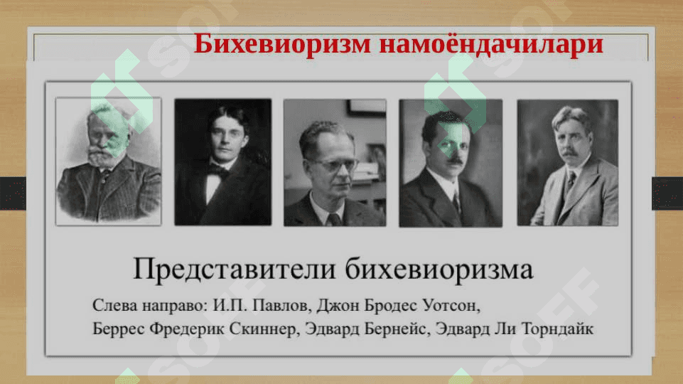 Экспериментал_тажриба_Бихевиоризм 2