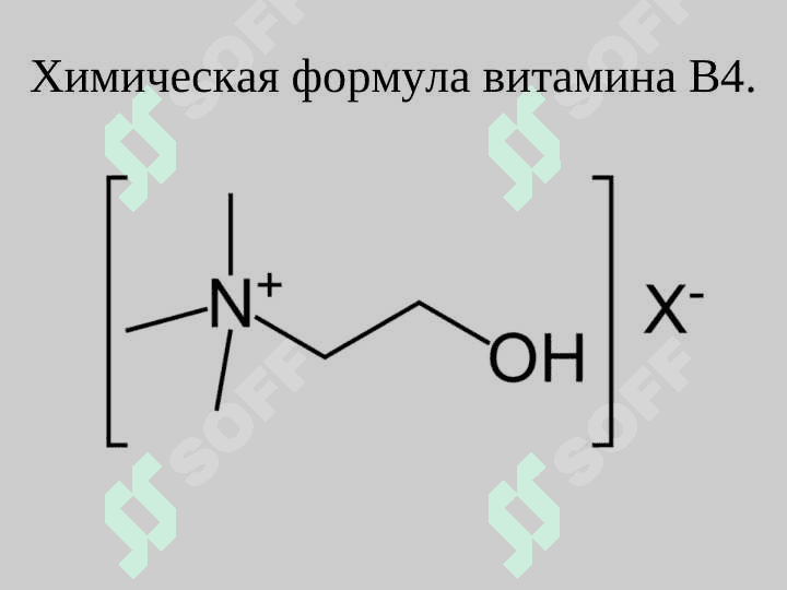 Названия витамина B4. 2