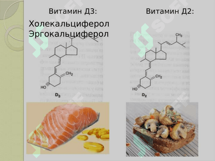 Витамин Д 2