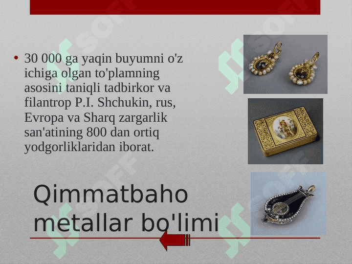 SSSR (Rossiy Federatsiyasi) ning tarixiy muzeyi 8