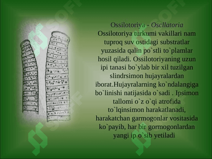 O`zbekiston suvo`tlari. SUVO`TLAR VA ULARNING KLASSIFIKATSIYASI 5
