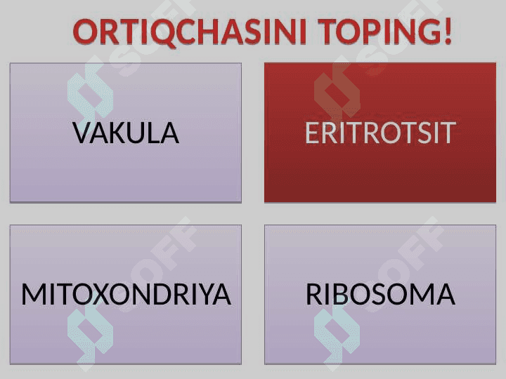 8-SINF BIOLOGIYA DARSI UCHUN 7