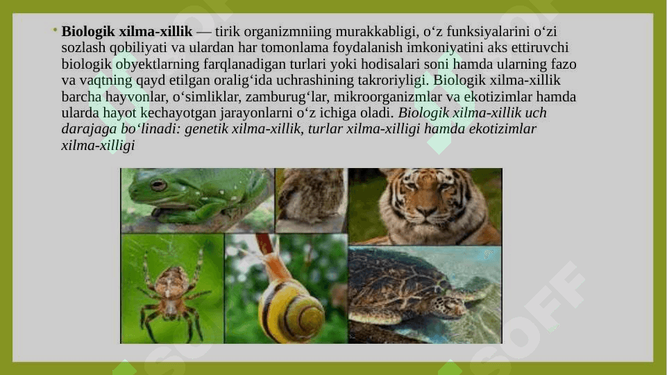 Biologik  xilma-xillikni  muhofaza  qilish  va  uni qayta  tiklash  sohasiga doir  qonunlar. Inson hayotida  o’simlik  va hayvonlarning  ahamiyati 3
