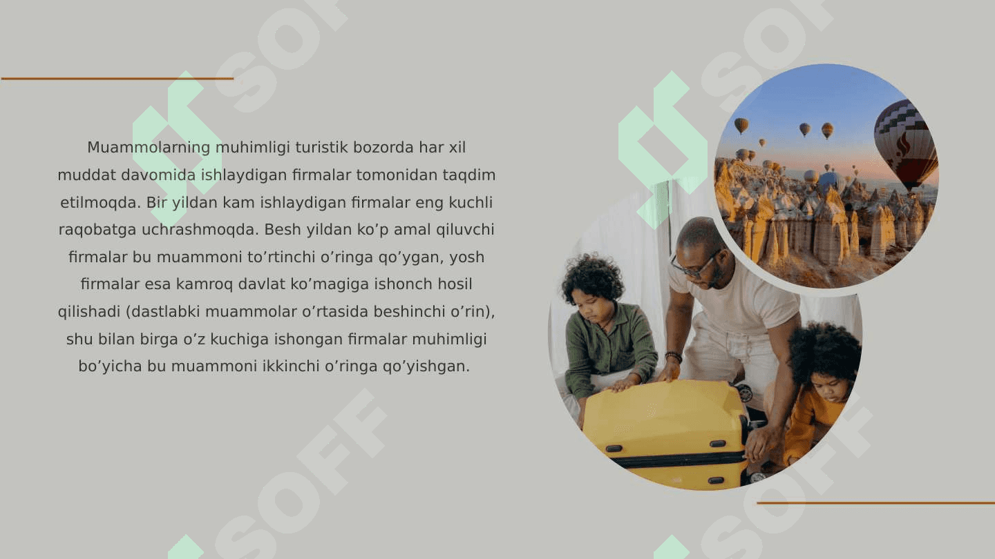 Turfirma faoliyatining asosiy muammolari 3