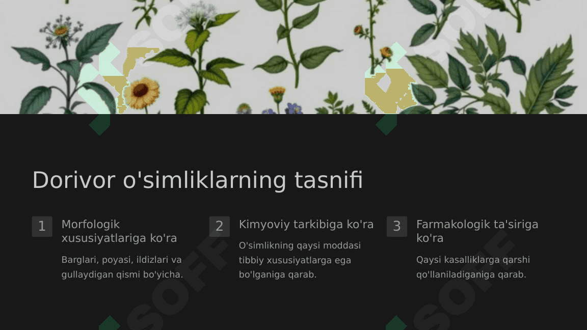 Dorivor o‘simliklar 4