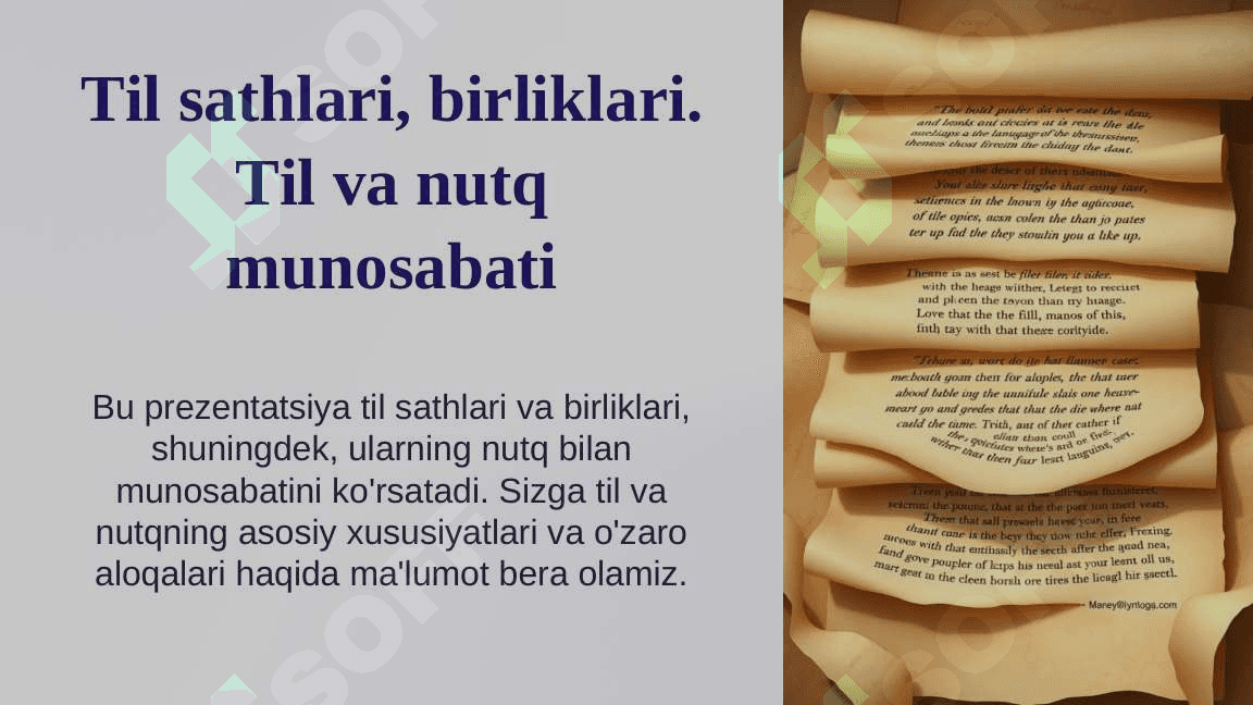 Til sathlari birliklari Til va nutq munosabati 2