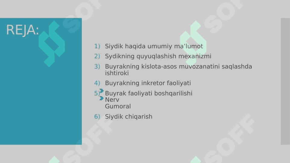 Ayiruv sistemasi 2