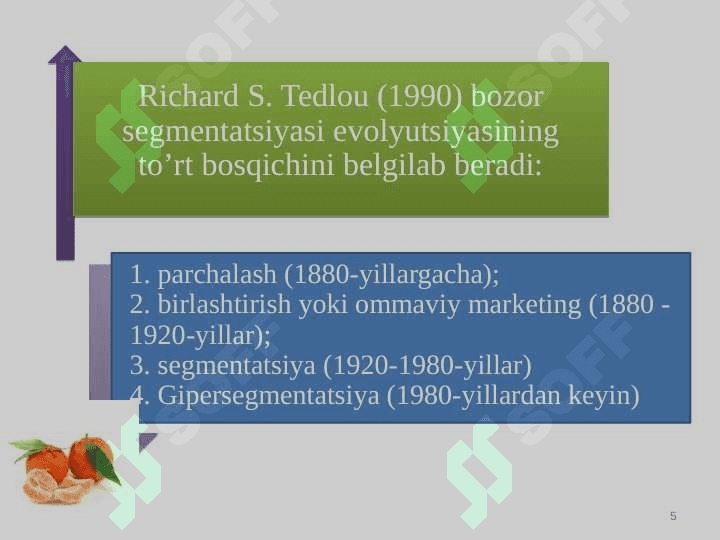 Bozor segmentatsiyasi va tovarni bozorda pozitsiyalashtirish 5
