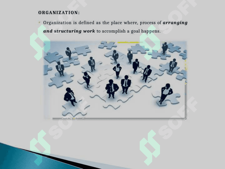 Organization 2