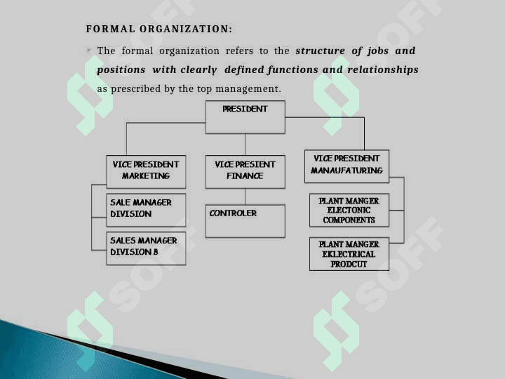 Organization 3