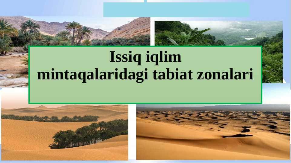 Issiq iqlimmintaqalaridagi tabiat zonalari