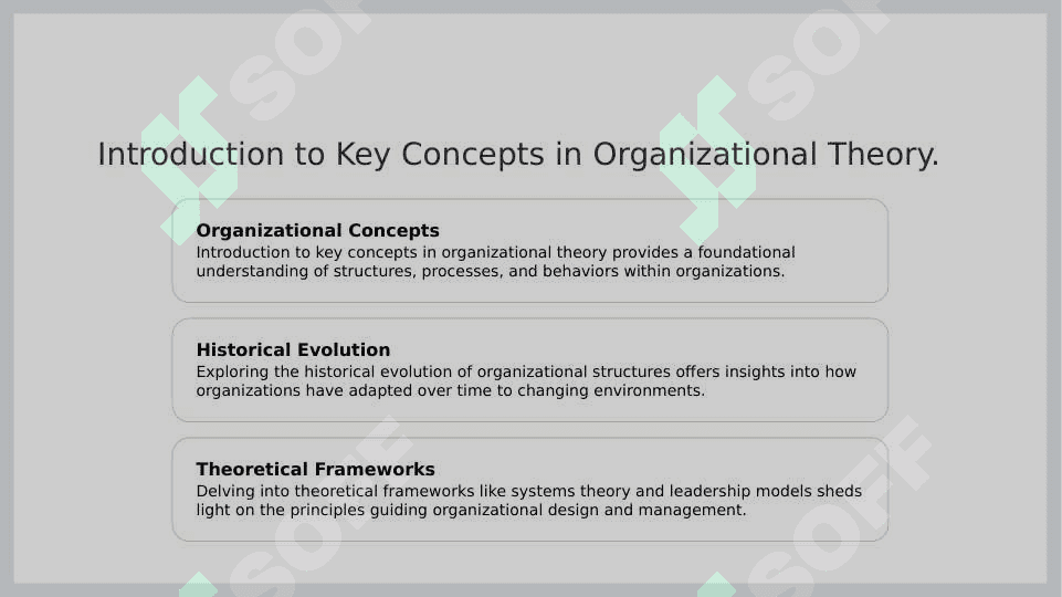 Organization 3