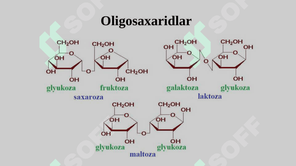 Uglevodlar, Lipidlar,  Fermentlar, 8