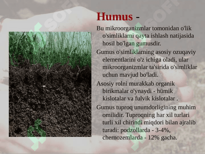 Tuproq tarkibi va xossalari. 4