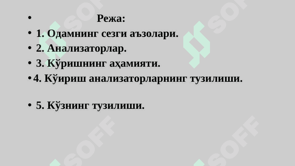 Эшитиш кўри ва сезги анализаторлари 2