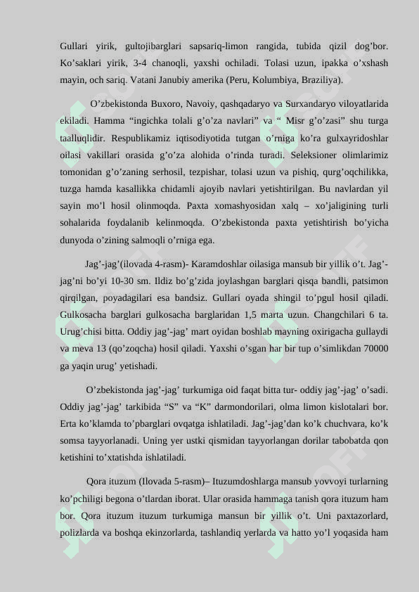 BIR URUG`PALLALILAR SINFI 7
