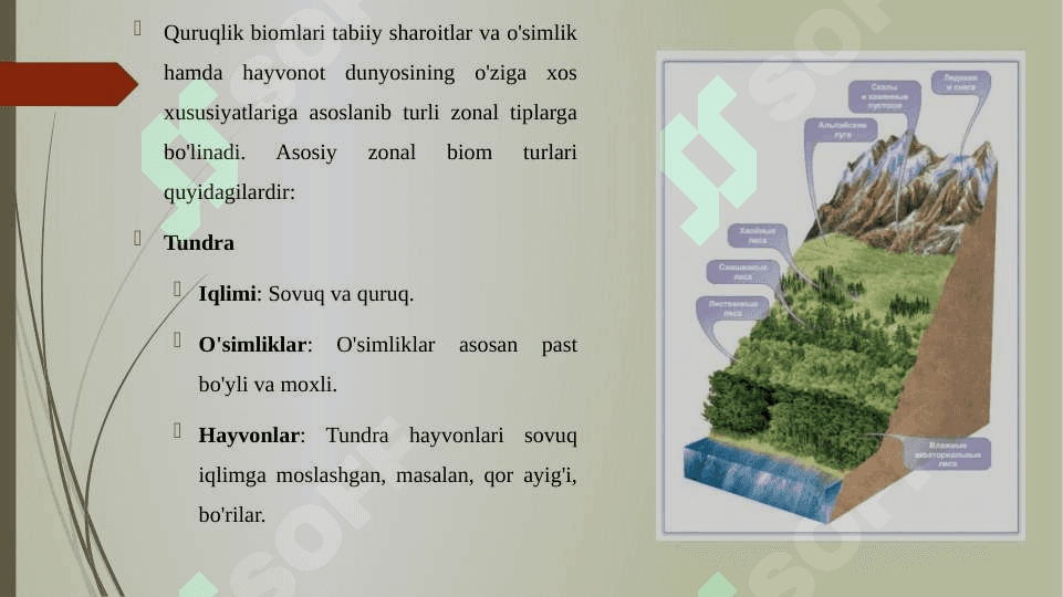 QURUQLIK BIOMLARINING ZONAL TIPLARI 3
