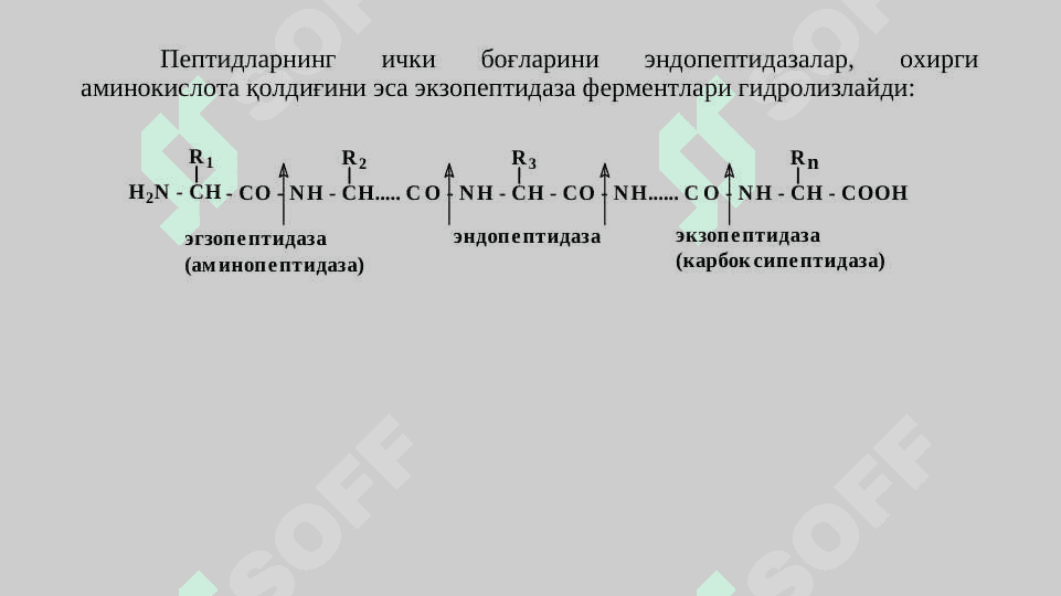 Оқсилларнинг алмашинуви 5