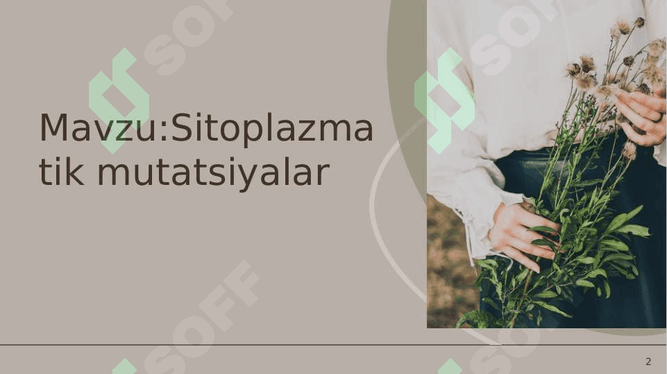 Sitoplazmatik mutatsiyalar 2