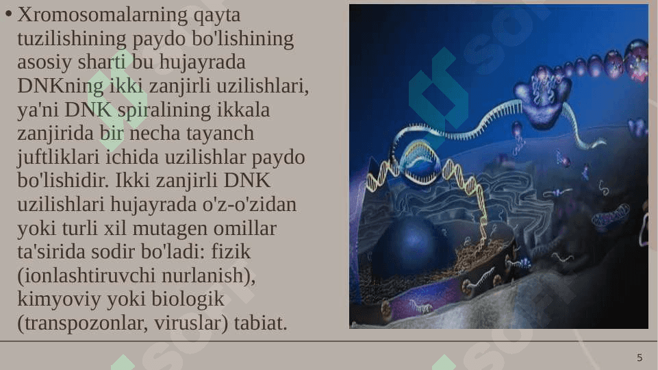 Sitoplazmatik mutatsiyalar 5